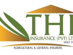 THI Insurance acquired by Zimnat General